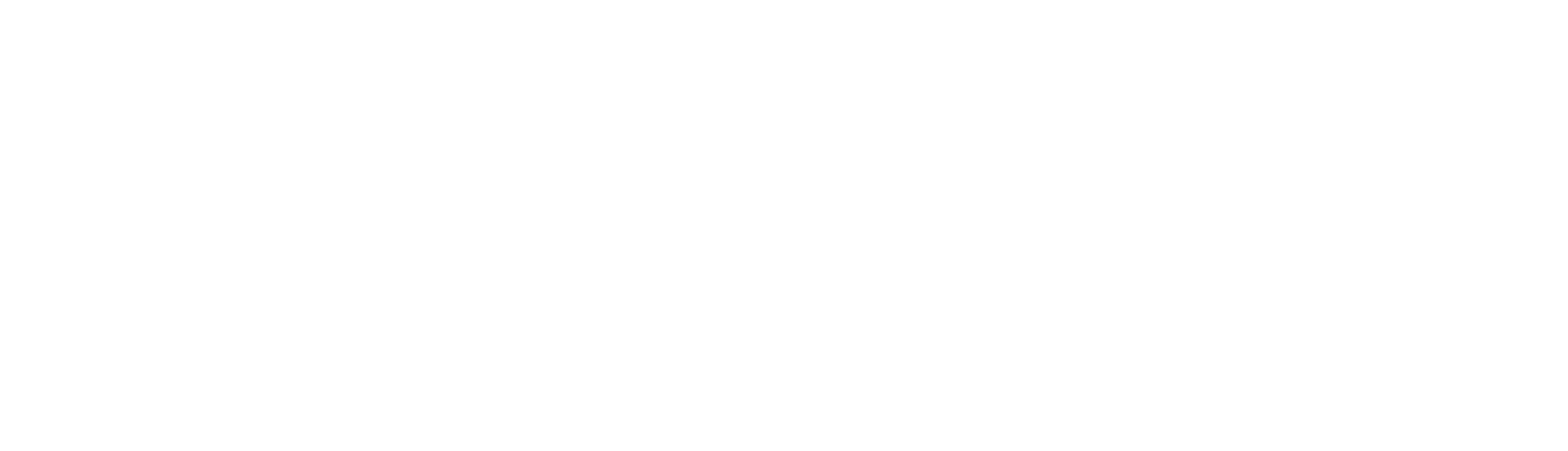 Logo Team Masaru